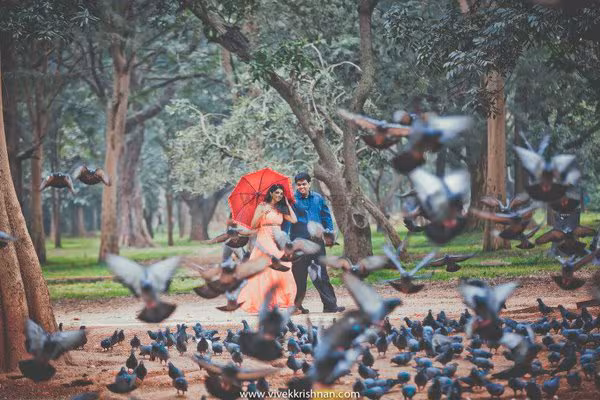 pre wedding pick 12