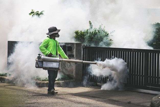 Services mosquitoes control images