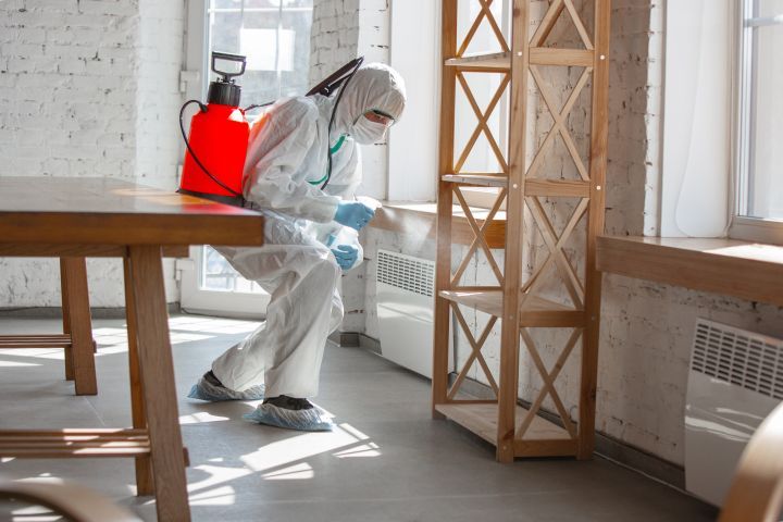 pest services pest services